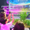 은한농장 이미지