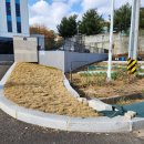 수원-0728 이미지