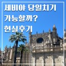 은하복장 | 스페인 신혼여행 세비야 당일치기 가능할까? 하루만에 핵심 다 본 현실 일정 후기
