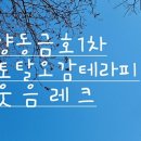 오감토탈미술 네이버블로그