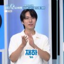 인사이트 bnt뉴스