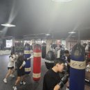 럭셔리복싱클럽 이미지