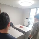 배꽃길 41 네이버블로그