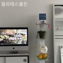 필라테스물든 - 15190 | 필라테스물든