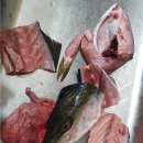 하모리-33 이미지