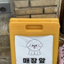 그미마당(keumimadang) | 그미마당에서 양모 펠트 원데이 해 본 후기 (+대구 강아지 수제 간식 파는 곳!)