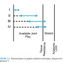 oscillation 테크닉(thrust)과 joint mobilization의 완벽 이해!! 이미지