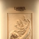 청담서클의원 이미지