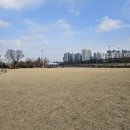 오금교 하부 - 2094 | 노스피크 A7 테스트 피칭 에어텐트 철수 후기(목동 안양천 가족정원)