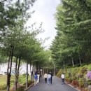 덕유자원 이미지