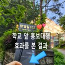 양영중학교 | 성남시 분당구 전단지배포 양영중학교 앞 댄스학원 어필/ 학생들에게 전략적으로 홍보 방법!
