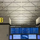 371 | 인천 선전 (심천) 아시아나항공 oz371(A321-neo) 이코노미 기내식 좌석 탑승 후기