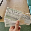 스테이 숲 | [강원도여행] 프라이빗한 감성적인 독채 숙소 인제 소월숲스테이 방문후기