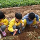 흥해서부초 병설유치원 이미지