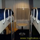 카멜리아 이미지