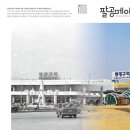 팔공 쿠키뉴스