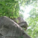 청도군-20 이미지