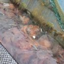 울진후포수산업협동조합 이미지