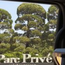 서울승마힐링캠프 | 의정부 대형카페 파크프리베 승마체험도 할 수 있는 곳!