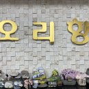 오리향식당