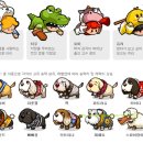 퍼피커뮤니케이션 이미지