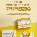 홍키통키 이미지