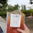 한강상회 | [노량진] 전라상회 회 포장 한강공원 피크닉 후기 (양화한강공원, 물회, 줄전갱이 모둠회, 내돈내산)