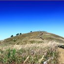 11월 일반산행- 강원 정선 민둥산(1118m)~지억산(1116m)종주 산행 이미지