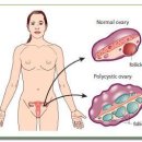경희수한의원 이미지