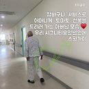 시그니티 요양병원 네이버블로그