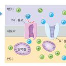 뉴런과학학원 - 화성시 동탄대로4길 53 | 뉴런과학학원