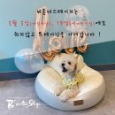 뮤지컬컴퍼니 B on the stage