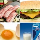 동물약국 이미지