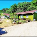 아로니아민박 이미지