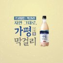 가평막걸리 네이버블로그