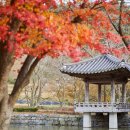 문헌공원 이미지