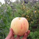 청학2리 이미지