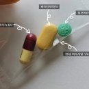 현대약국 | [20대 여자 탈모치료]전국에서 찾아오는 경남 마산 탈모 전문 병원 3년 2개월 후기 "탈모 재발입니다...