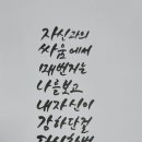 돼지방 이미지