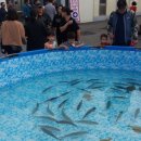 후포 공설시장 이미지