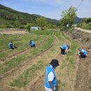 산덕경로당 이미지