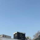 반동거인