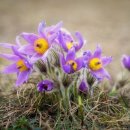 서생초등학교 이미지