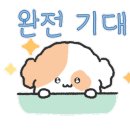 삼화문구 이미지