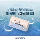 수원-0804 네이버블로그