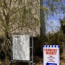 이천 에이스 은하 농장 | [경기/이천] 아기랑 가볼만한 곳 금토일 파머스마켓 ‘시몬스테라스, 시몬스그로서리스토어’ 방문후기