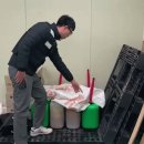 슈퍼푸드N