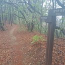 도장골천 이미지