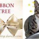 초이농협 이미지