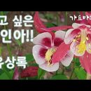 만사형통